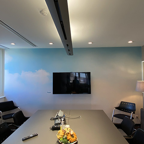 portfolio local_professionnel